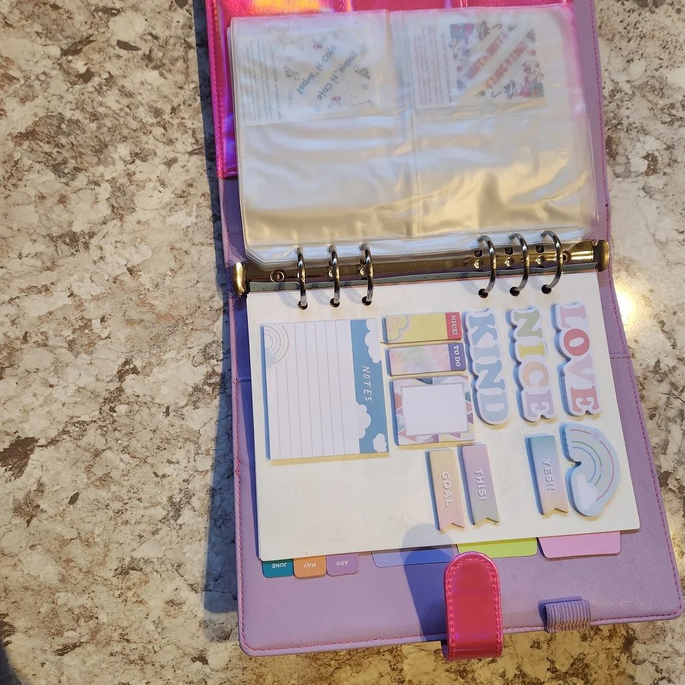Target Iridescent Pink Planner